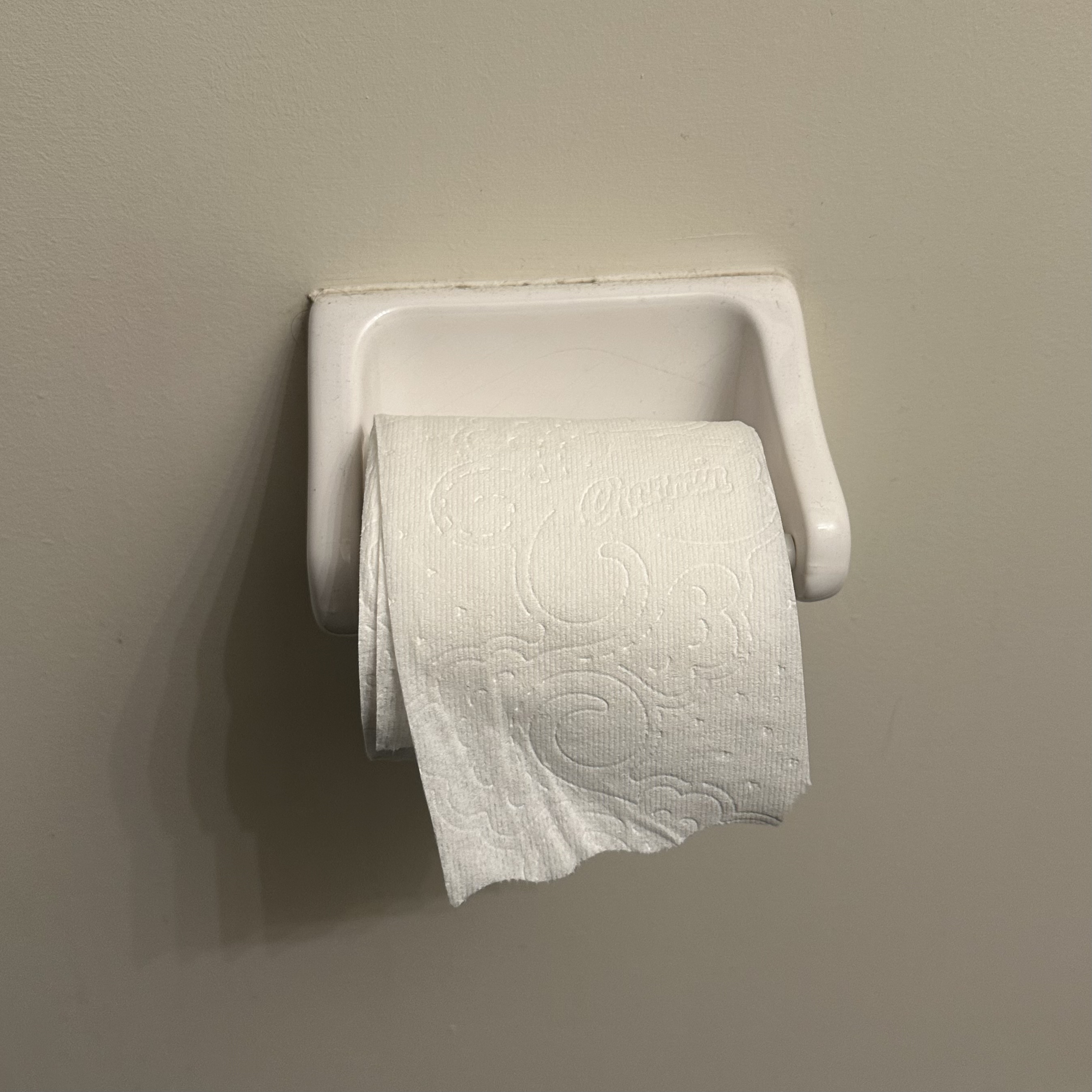 sound of rolling the toilet paper and ripping a piece off <br><audio controls src='audio/toilet paper.m4a'></audio>